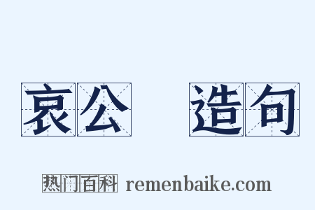 哀公問造句是什么意思的图片